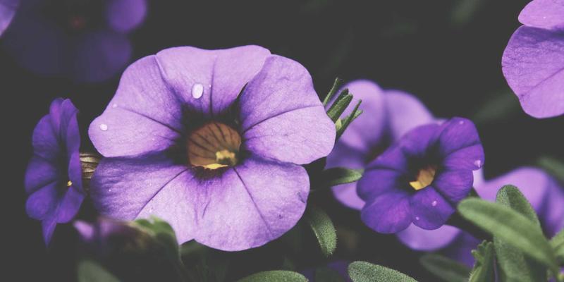 Acoustics 62：解码扬声器、声学工程与放大器的协同艺术