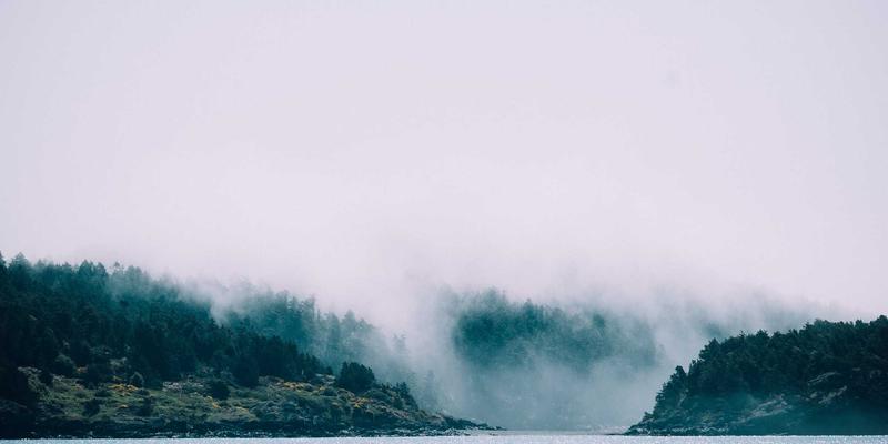 从Hi-Fi到完美声学:放大器在音响系统55中的核心作用