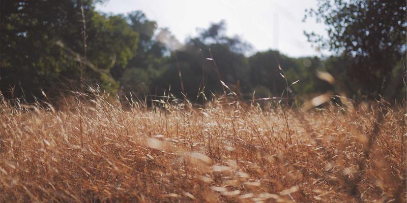 从Hi-Fi到清晰通话：声学语音增强算法如何重塑你的音频体验
