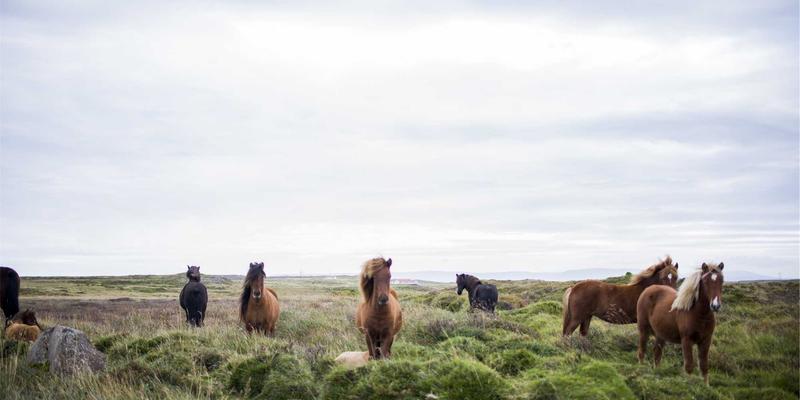 从放大器到聆听空间：打造卓越Hi-Fi音效的声学最佳实践