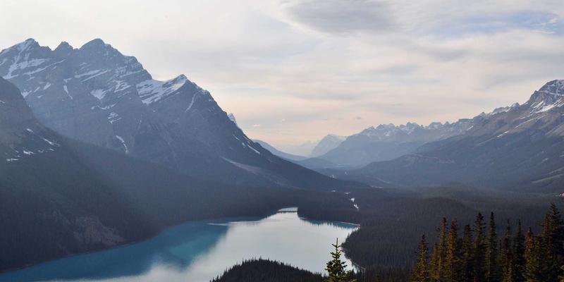 声学共振与乐器物理学：从提琴琴身到萨克斯管簧片的振动模态分析及其对Hi-Fi音频设备的启示