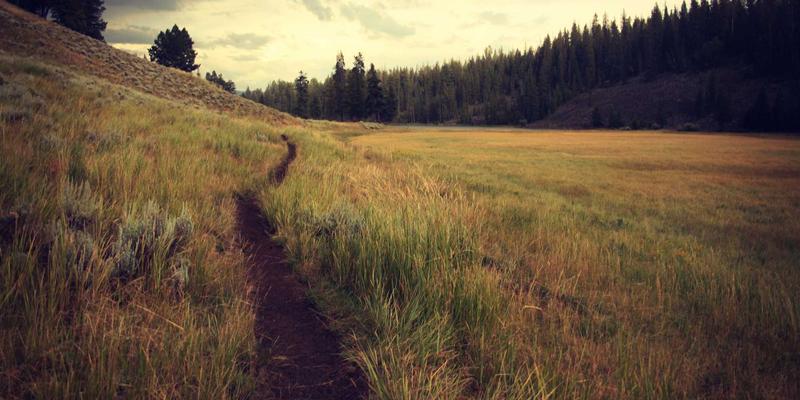 声学共振与室内模态分析：解决家庭听音室低频驻波问题的实用指南