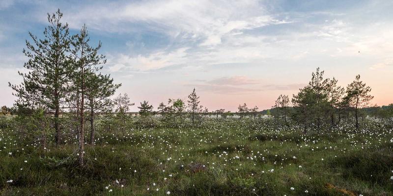 声学多普勒流速剖面仪：超越扬声器的核心声学设备，如何重塑水文监测