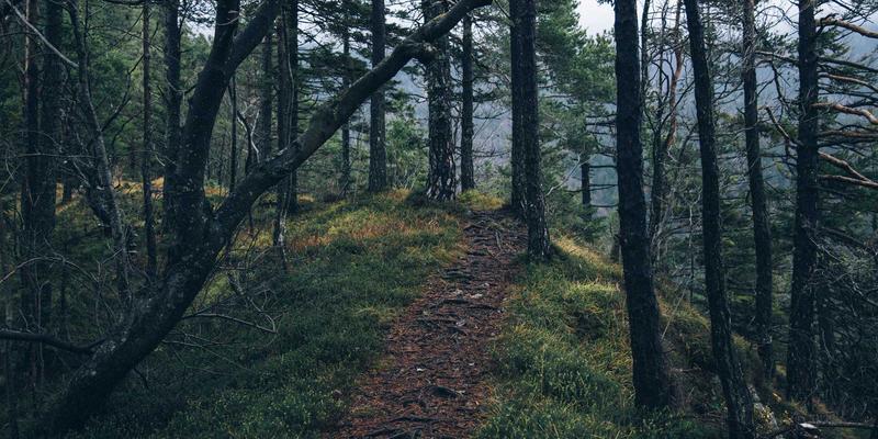 声学技术：从扬声器到未来，塑造声音世界的科学