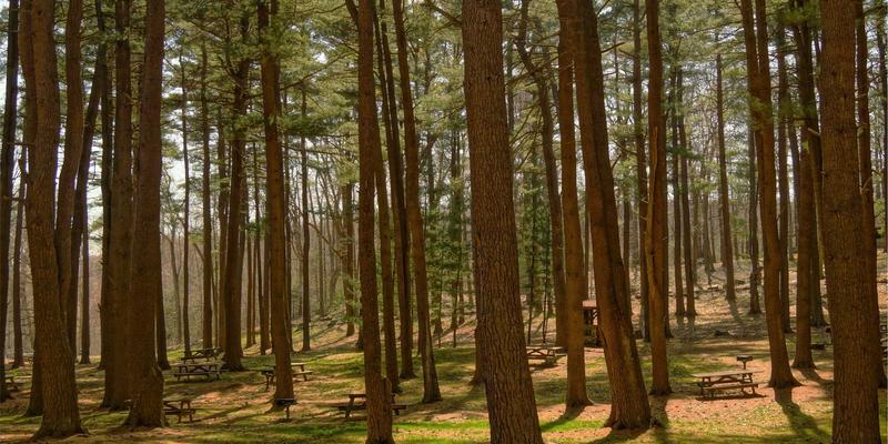 声学考古学：现代audio equipment与acoustic treatment如何重现古代声音景观