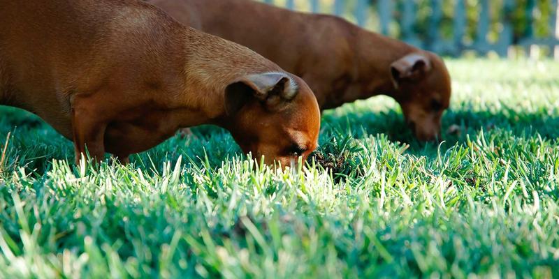 心理声学原理：Hi-Fi与放大器技术如何塑造我们的情绪与行为