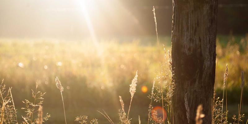 心理声学原理：如何通过声音设计与声学处理影响消费者感知与行为